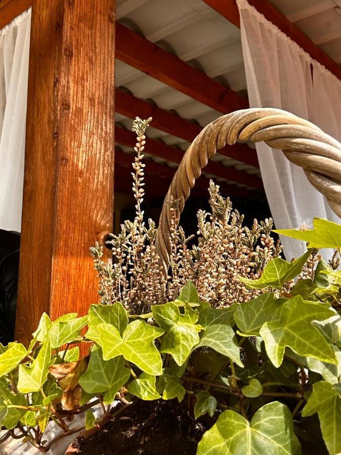 Apartamento Bon Bon Del Corso Con Terrazzo E Aria Condizionata *